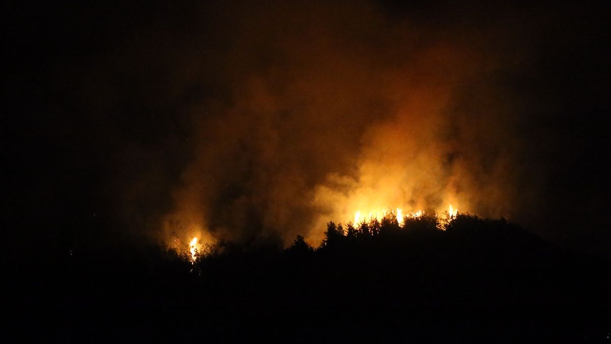 Hatay’da köylüler yangın bölgesine traktörlerle su taşıdı